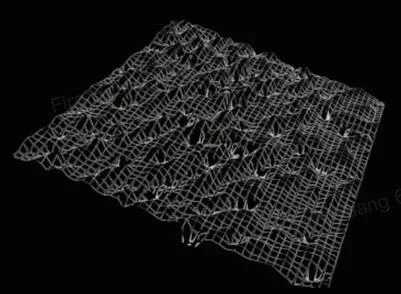 Collagen structure view